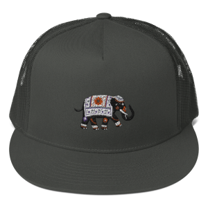Mesh Back Snapback