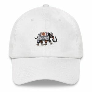 Emroidered Wheel of Life Elephant - Dad hat